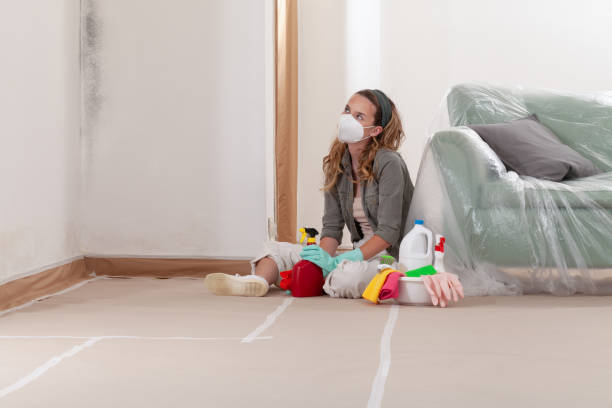 Mold Remediation service in Georgetown, Georgetown, MA