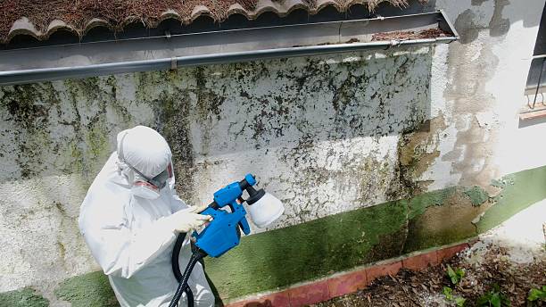 Mold Remediation service in Georgetown, Georgetown, MA